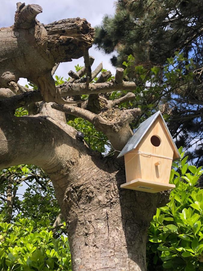 L'Oasis Διαμέρισμα Le Touquet Εξωτερικό φωτογραφία